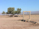 Désert Marocain