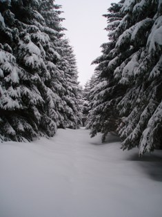 Vercors